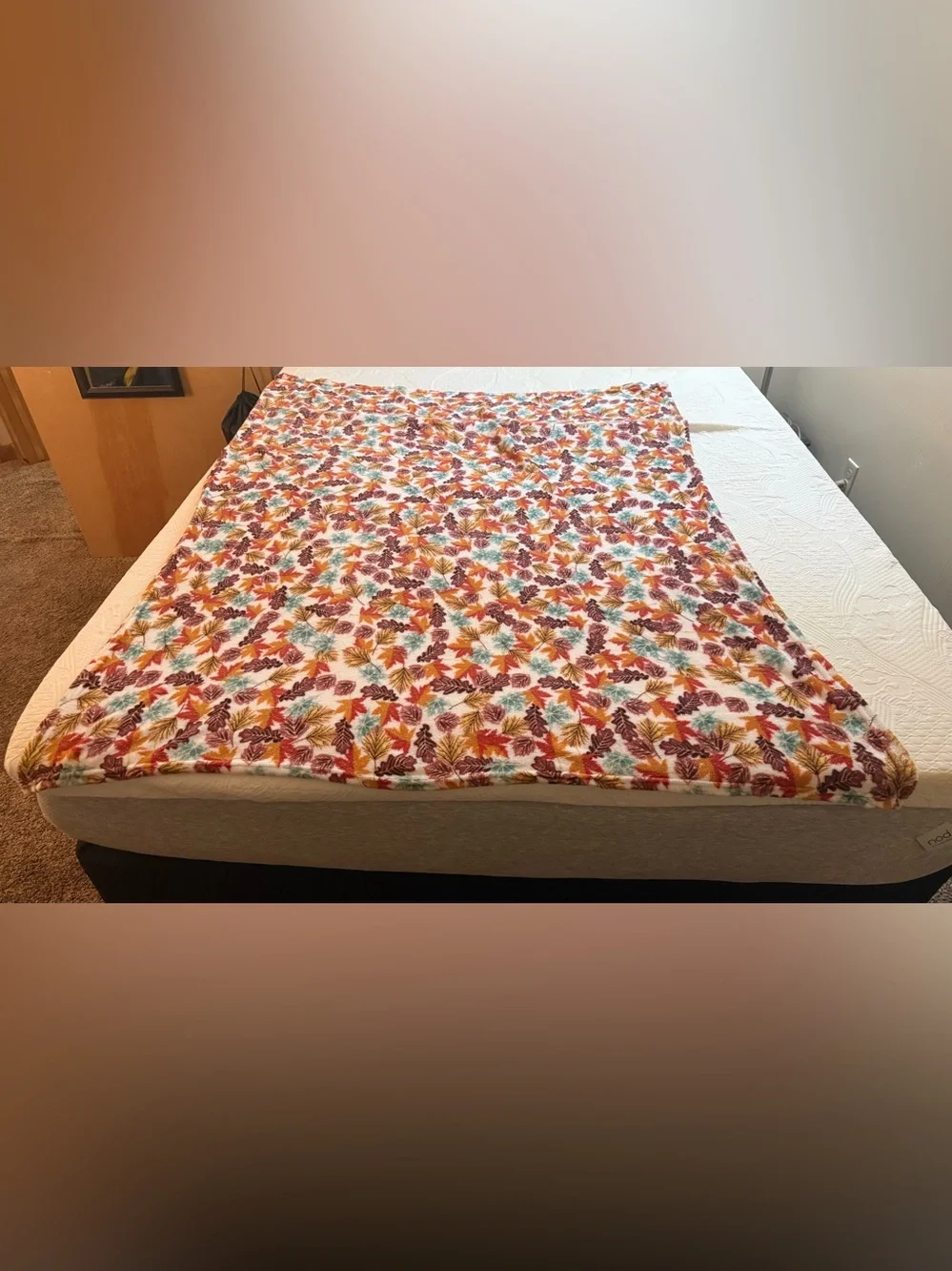 EUC - Soft Autumn Leaves Throw Blanket - Multicolor